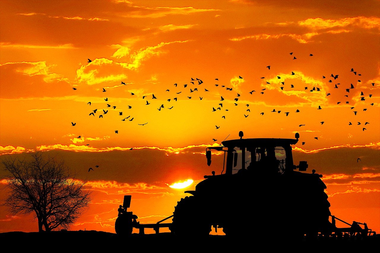 sunset, tractor, farmer