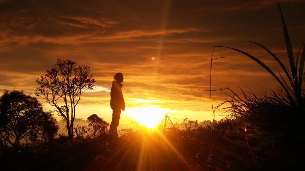 silhouette, man, alone