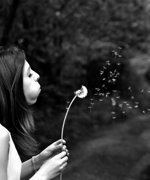 girl, dandelion, wish